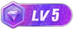 等级-LV5-五九软件库