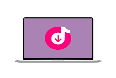 4K Tokkit(tiktok视频下载器) v25.4.1.1070 多语便携版-五九软件库