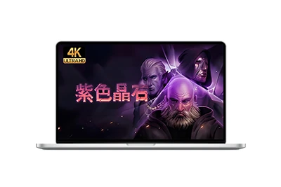 紫色晶石/Stoneshard-五九软件库