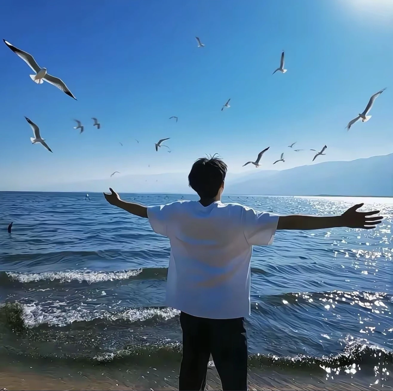 五月缘的头像-五九软件库