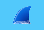 Wireshark中文版(网络抓包工具) v4.6.6 多语便携版-五九软件库