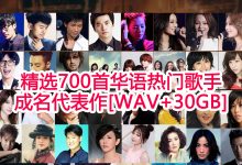 精选700首华语乐坛经典流行热门歌手成名代表作,首首经典永久珍藏[无损音质打包下载]-五九软件库
